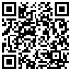 QR Code Handyversion