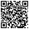 QR Code Handyversion