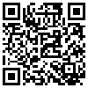 QR Code Handyversion