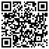 QR Code Handyversion