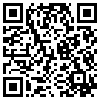 QR Code Handyversion