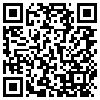 QR Code Handyversion