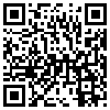 QR Code Handyversion