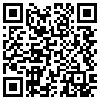 QR Code Handyversion