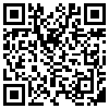 QR Code Handyversion