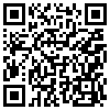 QR Code Handyversion