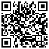 QR Code Handyversion