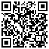 QR Code Handyversion