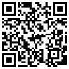 QR Code Handyversion