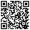 QR Code Handyversion