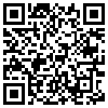 QR Code Handyversion