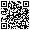 QR Code Handyversion