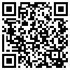 QR Code Handyversion