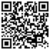 QR Code Handyversion