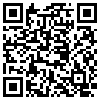 QR Code Handyversion