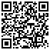 QR Code Handyversion