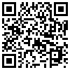 QR Code Handyversion