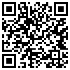 QR Code Handyversion