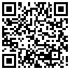 QR Code Handyversion