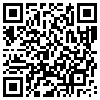 QR Code Handyversion