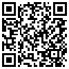 QR Code Handyversion