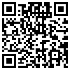 QR Code Handyversion