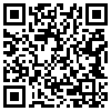 QR Code Handyversion