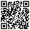 QR Code Handyversion