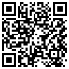 QR Code Handyversion