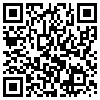 QR Code Handyversion