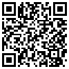 QR Code Handyversion