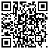 QR Code Handyversion