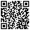 QR Code Handyversion