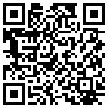 QR Code Handyversion