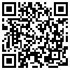 QR Code Handyversion
