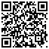 QR Code Handyversion