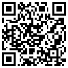 QR Code Handyversion