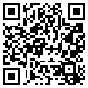 QR Code Handyversion