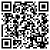 QR Code Handyversion