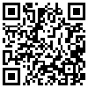 QR Code Handyversion