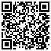 QR Code Handyversion