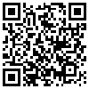 QR Code Handyversion