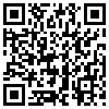 QR Code Handyversion