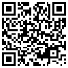 QR Code Handyversion