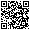 QR Code Handyversion