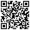 QR Code Handyversion