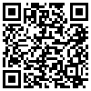 QR Code Handyversion