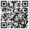 QR Code Handyversion