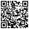 QR Code Handyversion