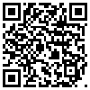 QR Code Handyversion